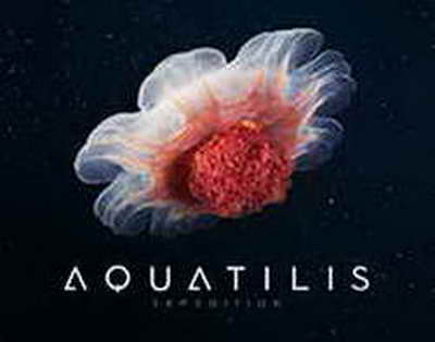 Prezident İlham Əliyev Avstraliyanın Azərbaycanda yeni təyin olunmuş səfirinin etimadnaməsini qəbul edib